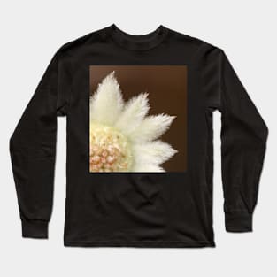 Feathery flannel flower ... real close Long Sleeve T-Shirt